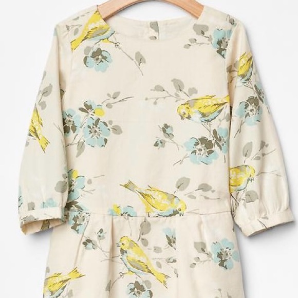 GAP Other - BabyGap Toddler 3 Years Floral Bird Drop Waist Long Sleeve Dress